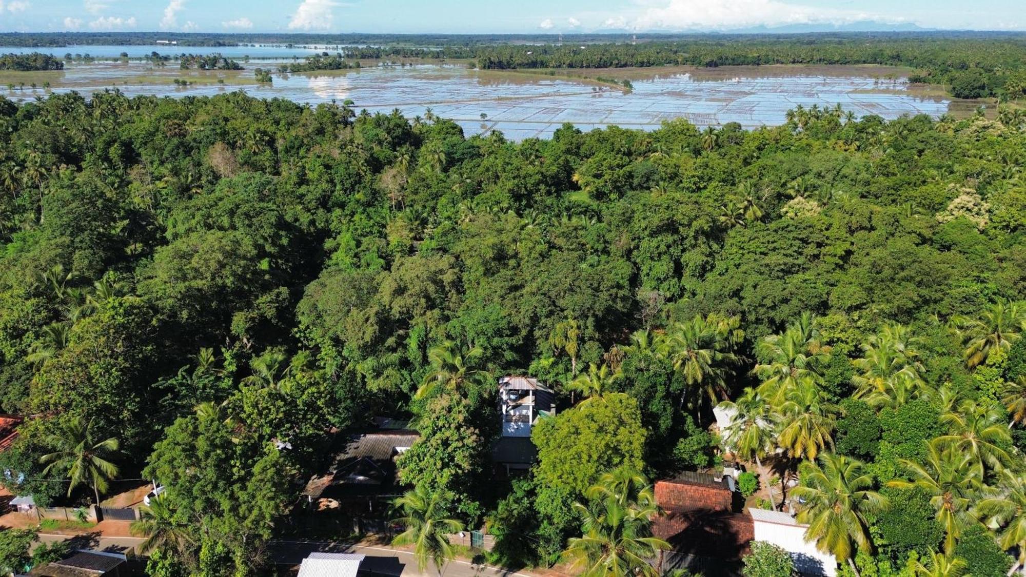 Yala Safari River View Hotel Tissamaharama Exterior foto